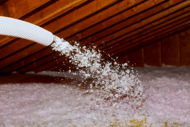 Best Insulation Removal  in Lone Oak, TN