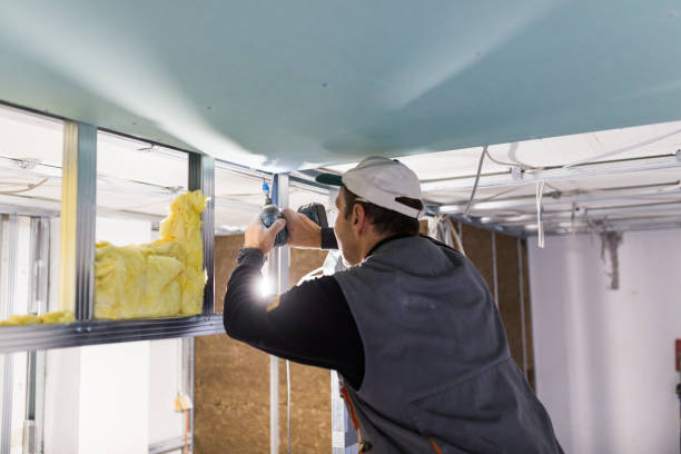 Best Wall Insulation Contractor  in Lone Oak, TN