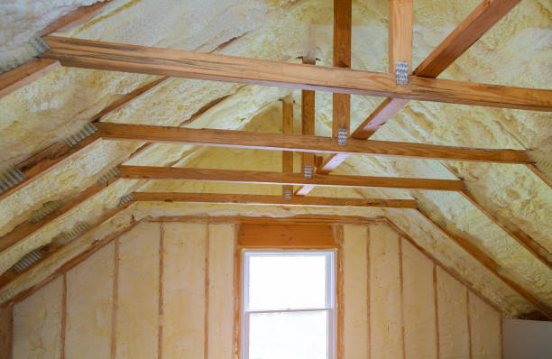 Best Home Insulation Services  in Lone Oak, TN