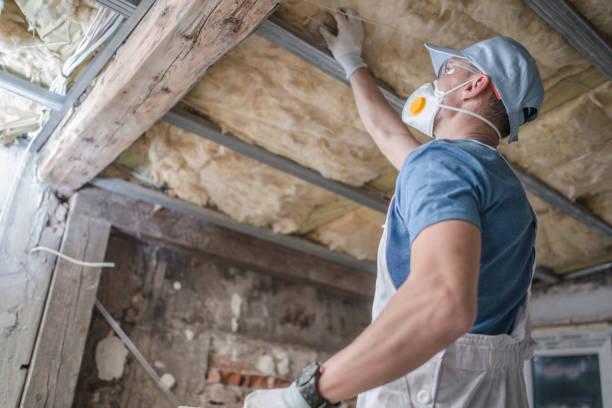Best Attic Insulation Installation  in Lone Oak, TN