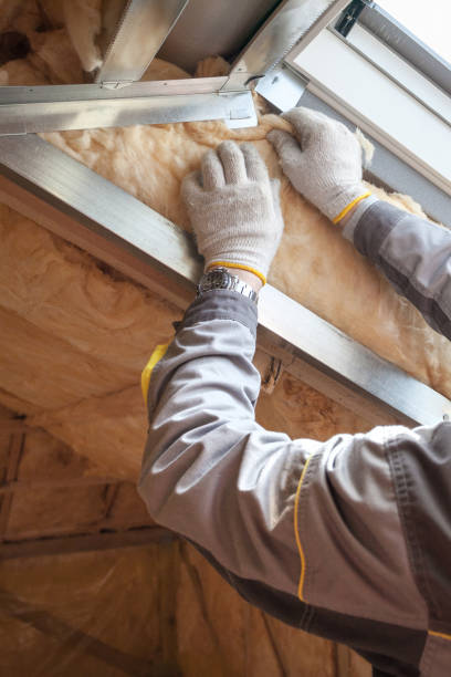 Best Spray Foam Insulation  in Lone Oak, TN