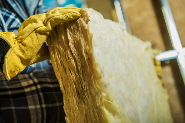 Best Energy-efficient Insulation  in Lone Oak, TN